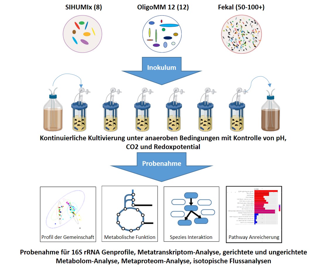 Bioreactor